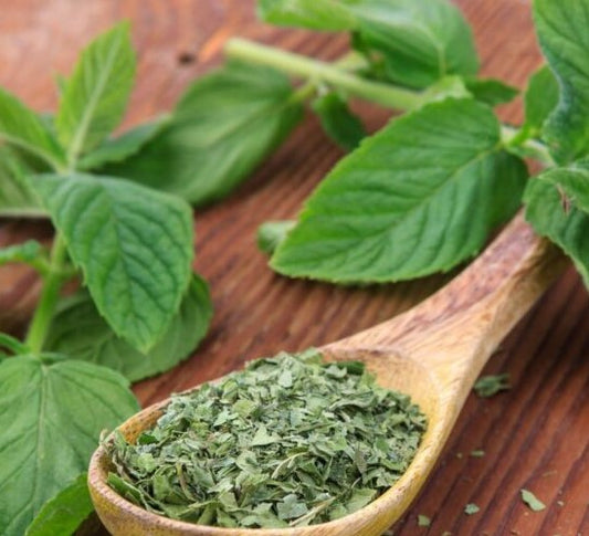 Garden Mint Spice Mix image 0